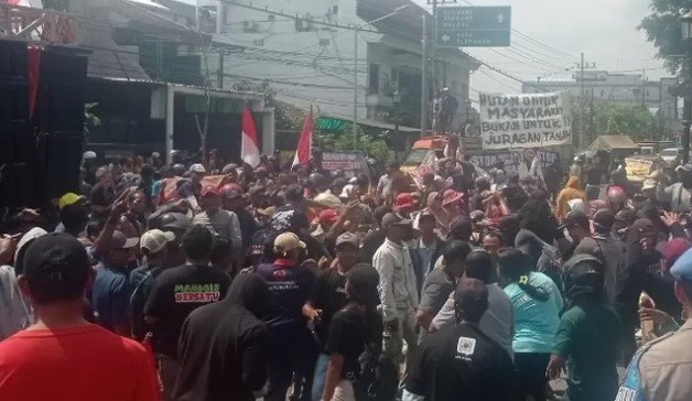 Petani Manggis Bergema di Gedung Dewan, Sengketa Lahan dengan LMDH Mencuat
