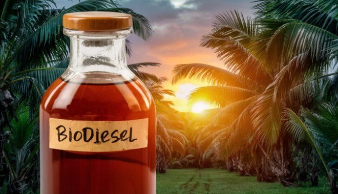 Potensi Besar Bioethanol dalam Mengurangi Ketergantungan pada Bahan Bakar Fosil