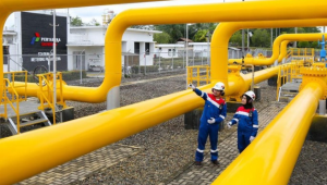 Potensi Penurunan Pendapatan Negara Akibat Kebijakan Harga Gas Bumi Tertentu