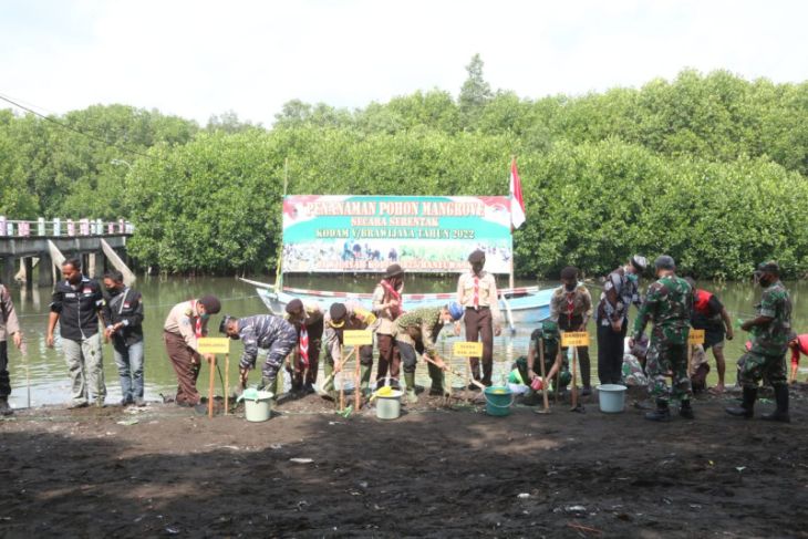 Prajurit Kodim 0825/Banyuwangi tanam mangrove di Pulau Santen