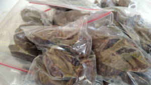 Produk Olahan Tanaman untuk Kesehatan Tubuh: Permen Daun Kelor, Sabun Daun Mimba, dan Lilin Aromaterapi dari Fakultas Vokasi Universitas Airlangga Surabaya