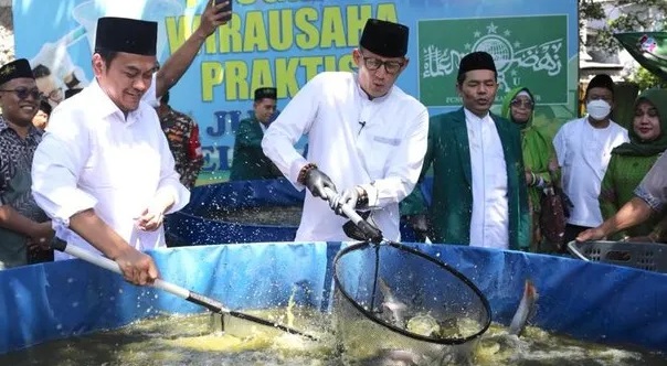 Program Juragan Lele Lalap