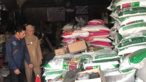 Pupuk Subsidi di Ambang Krisis? Cek Inspeksi Mendadak Penyelamat