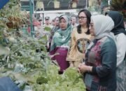 Rahasia Sukses Pekarangan Pangan Lestari Desa Tertek Kediri Curi Perhatian Menteri Pusat