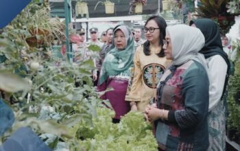 Rahasia Sukses Pekarangan Pangan Lestari Desa Tertek Kediri Curi Perhatian Menteri Pusat