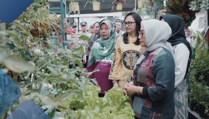 Rahasia Sukses Pekarangan Pangan Lestari Desa Tertek Kediri Curi Perhatian Menteri Pusat