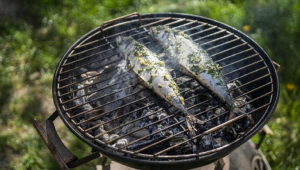 Rahasia Terungkap! Ikan Murah Ini Bikin Tubuh Sehat dan Kekinian!