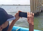 Ramadan Usai, KKP Lanjutkan ‘Operasi’ Pagar Laut! Sisa 600 Meter atau 10 Km