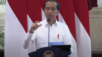 Rapat Terbatas Istana Negara Tentang Kratom, Kebijakan Baru Pemerintah Jokowi