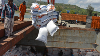 Redistribusi Cadangan Beras Pemerintah: Perum Bulog Memindahkan Stok ke Wilayah Papua, NTT, dan Kalimantan