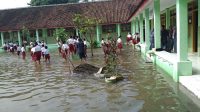 Proyek Milyaran , SDN Kemlokolegi Langganan Banjir