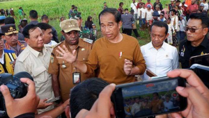 Sail Teluk Cenderawasih 2023: Mendorong Hilirisasi Laut dan Pembangunan Potensi Papua