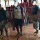 Sanksi Setrum Ikan Kendalbulur Tulungagung Kena Denda Rp2 Juta
