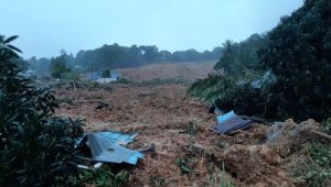 Satu Kampung di Natuna Tertimbun Tanah Longsor, 10 Warga Meninggal