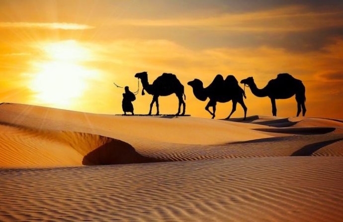 Saudara Tiri Cucu Nabi Muhammad