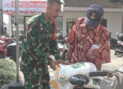 Koperasi Merah Putih di Lamongan, Sinergi Babinsa dan Warga Dorong Kemandirian Petani