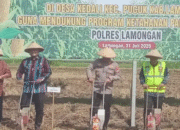 Dorong Kemandirian Pangan, Polres Lamongan Gandeng Petani Tanam Jagung di Lahan Tidur