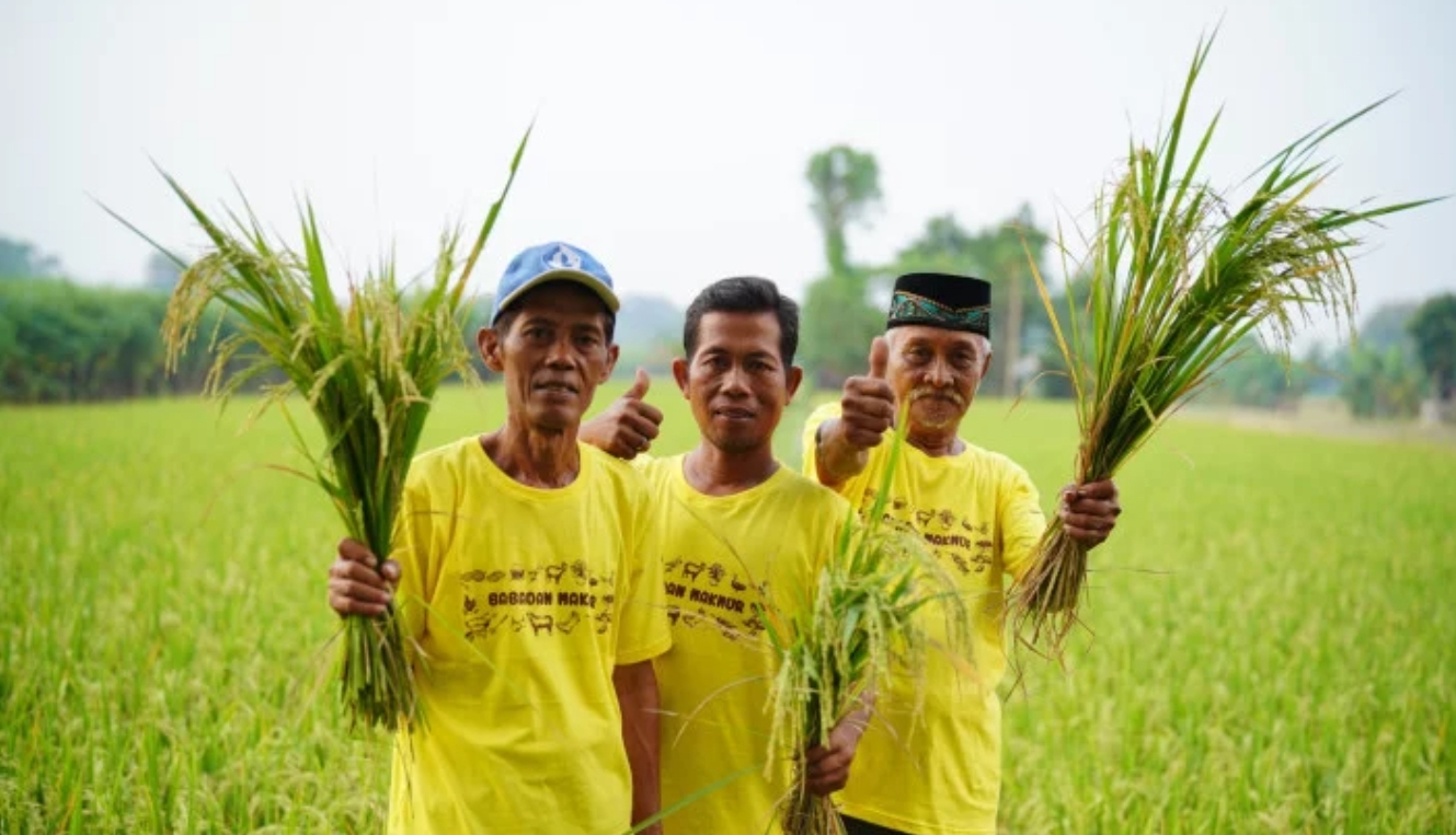 Pengakuan Internasional! Pupuk Kaltim Raih Penghargaan AREA 2024