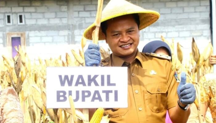Wabup Blitar H Beky Hadiri Panen Raya Jagung di Desa Balerejo