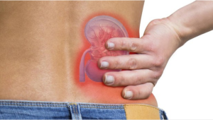 Sindikat Jual Beli Ginjal Terbongkar, Penemuan Mengejutkan di Kamboja!