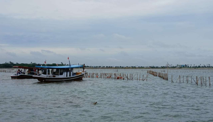 Skandal Pagar Laut! Bareskrim Panggil Kades Kohod & BPN, Dugaan Pencucian Uang Terkuak