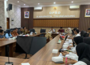 Sorotan Tajam Keluhan Gaji PPPK Paruh Waktu Tulungagung Berstatus ASN Hanya Kantongi Rp300 Ribu