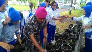 Jalasenastri Palu Ajak Masyarakat Tanam Cabe di Pekarangan Rumah