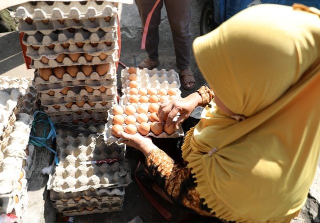 Pekan Ini Harga Telur Ayam Bisa Mulai Turun