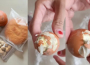 Telur Busuk Program Makan Bergizi Gratis