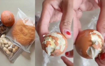 Telur Busuk Program Makan Bergizi Gratis