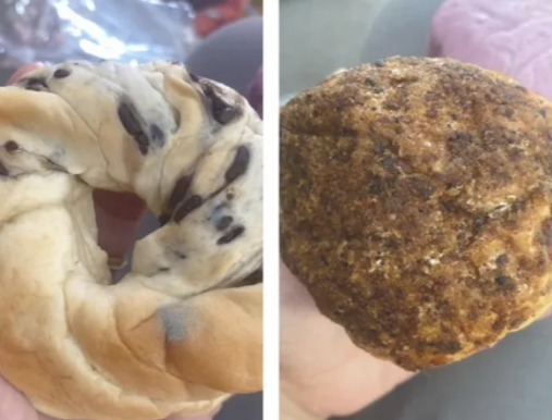 Temuan Roti Berjamur Program Makan Bergizi Gratis di Madiun