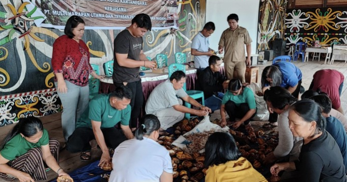 Terobosan Luar Biasa: Kakao Berkembang Pesat dan Masyarakat Makin Makmur!