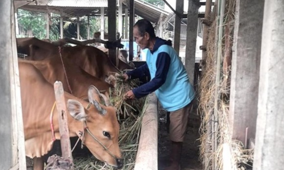 Terungkap! Cara PTBA Bantu UMK Lampung Raih Keuntungan Besar!