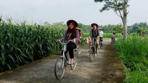 Terungkap! Rahasia Mengubah Pertanian ASEAN dengan Kebijakan Keuangan Berkelanjutan!