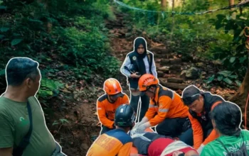 Tim BPBD lakukan evakuasi pendaki Gunung Klotok Kediri yang mengalami dislokasi kaki usai terpeleset di jalur pendakian curam.