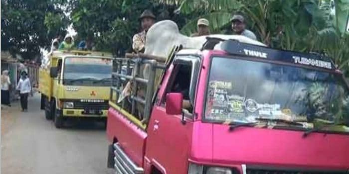 Tradisi Seserahan Kemantin di Tuban, Kirim Paket Satu Truk Berisi Beras dan Sapi Senilai 150 Juta