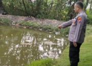 Tragis Balita Empat Tahun Tewas Tenggelam di Empang Gresik Saat Asyik Bermain Sendirian