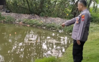 Tragis Balita Empat Tahun Tewas Tenggelam di Empang Gresik Saat Asyik Bermain Sendirian