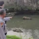 Tragis! Warga Pulosari Tulungagung Ditemukan Tewas di Sungai Brantas Usai Diduga Terpeleset Saat Cari Rumput