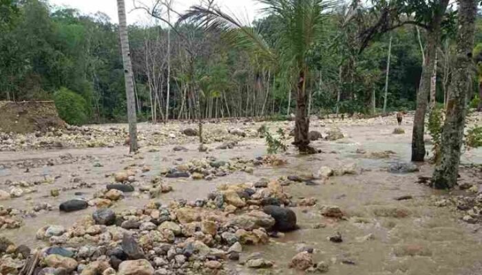 Trenggalek Didera Bencana Bertubi-tubi, Belasan Desa Terdampak