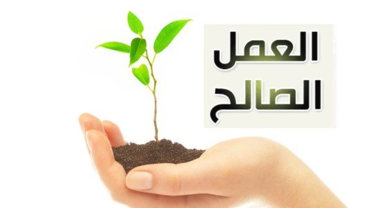 Tujuh Amalan yang Terus Mengalir Pahalanya