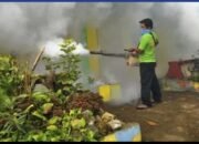 Tulungagung Siaga ‘Flu Tulang’: Ratusan Warga Diduga Terjangkit Chikungunya, 6 Kecamatan Jadi Sorotan