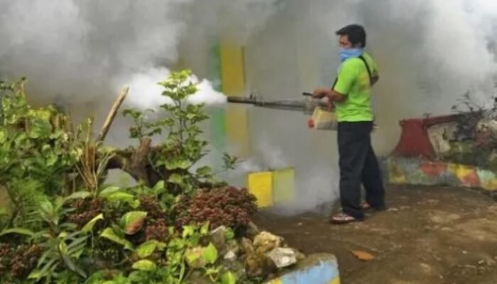 Tulungagung Siaga ‘Flu Tulang’: Ratusan Warga Diduga Terjangkit Chikungunya, 6 Kecamatan Jadi Sorotan