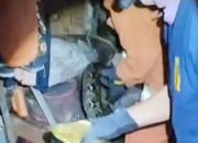 Ular Piton 5 Meter Teror Warga