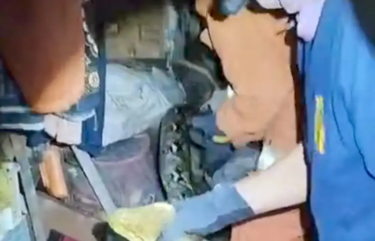 Ular Piton 5 Meter Teror Warga