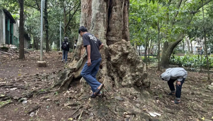 Viral Permainan ‘Koin Jagat’: Psikolog Ingatkan Risiko Kesehatan Mental dan Dampaknya