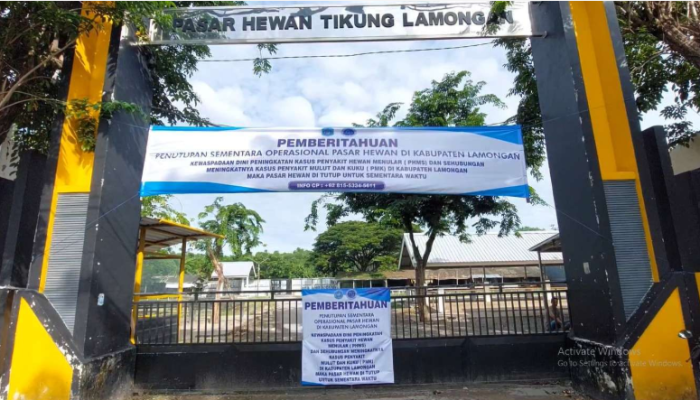 Wabah PMK Merebak! Pasar Hewan Tikung Lamongan Ditutup Sementara untuk Kendalikan Penyebaran