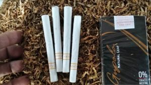 Warga Desa Padurenan Kecamatan Gebog Ciptakan Rokok Berbahan Baku Daun Talas