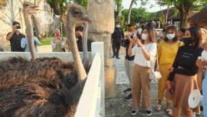 Jember Mini Zoo jadi wisata edukasi menarik di tengah pandemi