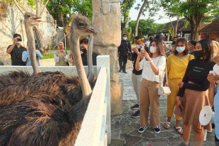 Jember Mini Zoo jadi wisata edukasi menarik di tengah pandemi